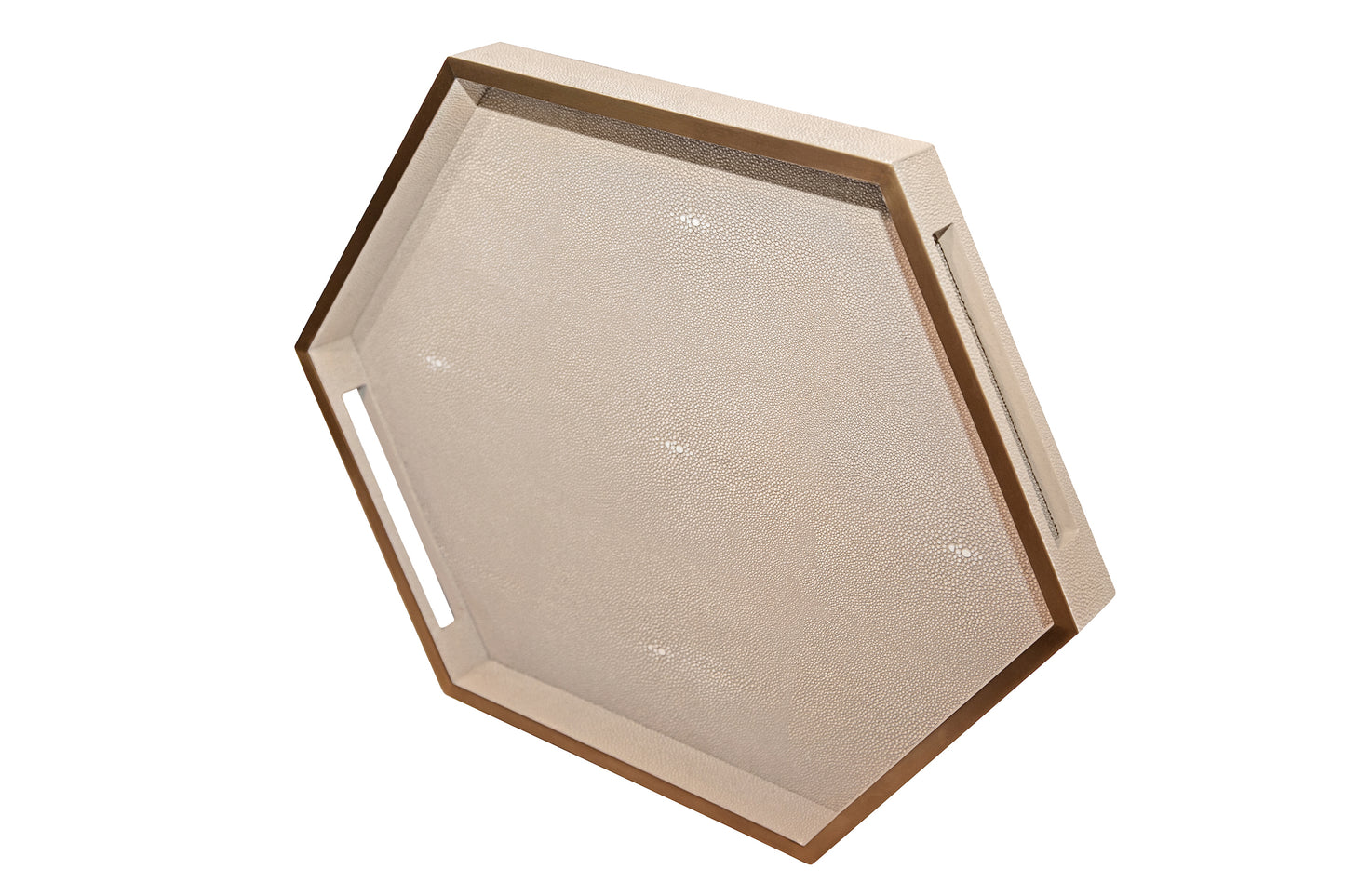 Hexagonal Tray Standard Collection - Shagreen / Brass