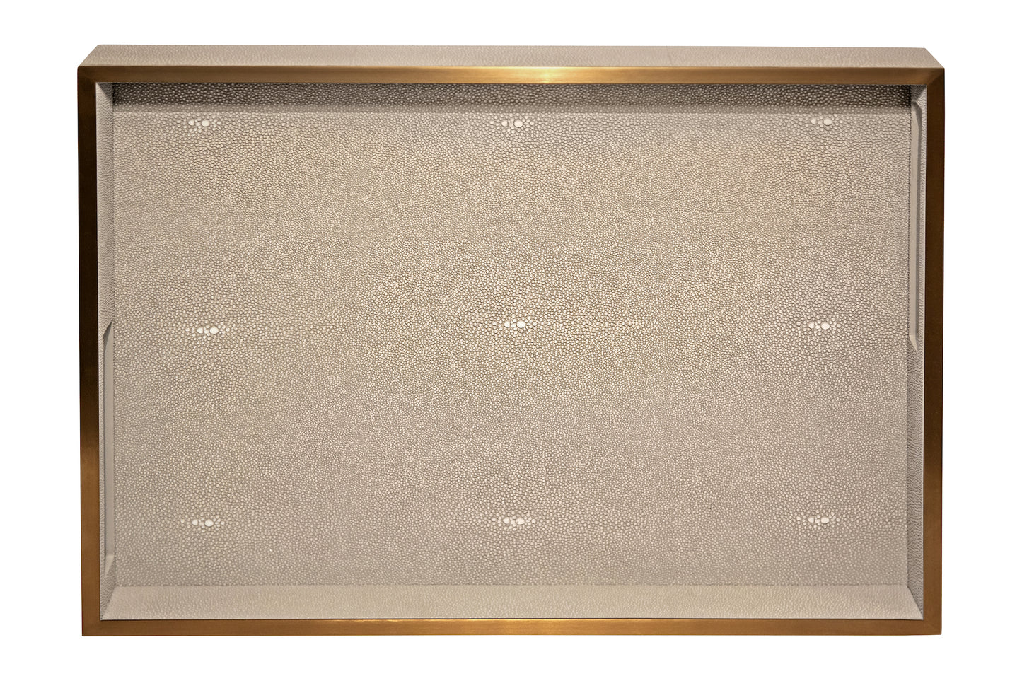 Rectangular Tray Standard Collection - Shagreen / Brass