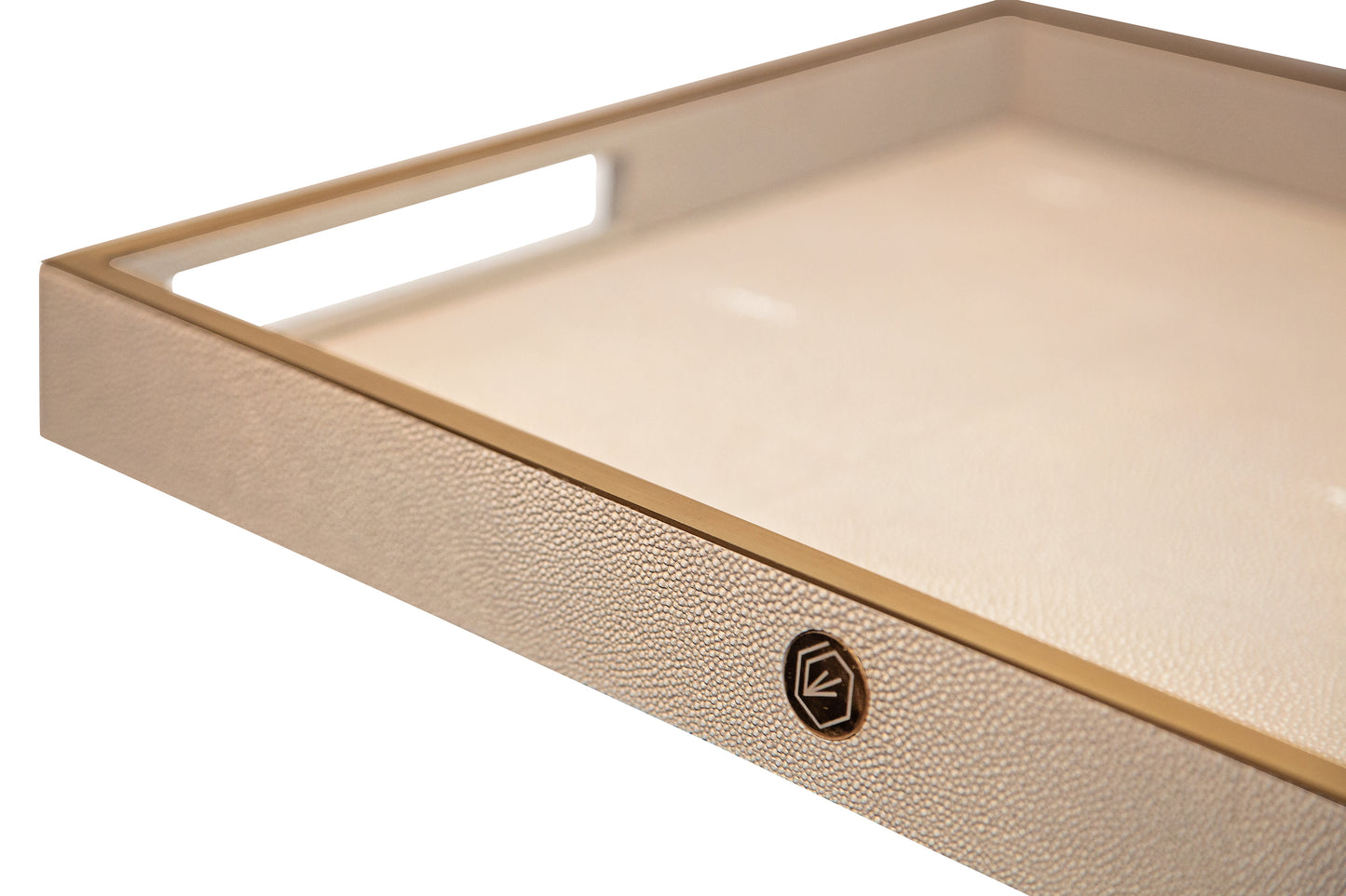 Rectangular Tray Standard Collection - Shagreen / Brass