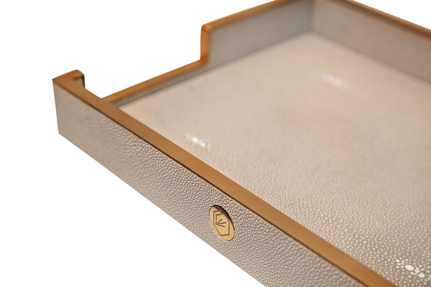 Paper Tray Standard Collection - Shagreen / Brass