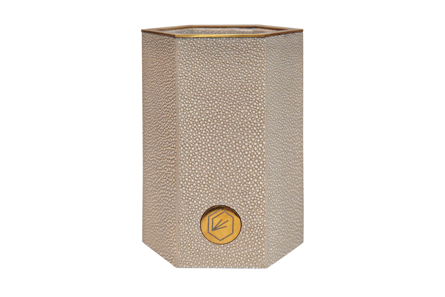 Pen Pot Large - Standard Collection Shagreen / Brass