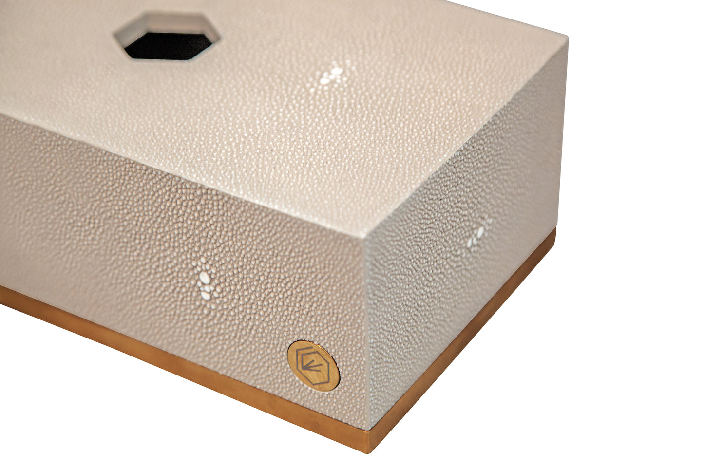 Tissue Box Rectangle Standard Collection- Shagreen / Brass